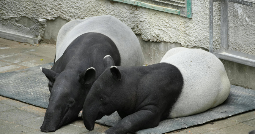 （示意圖／Pexels）