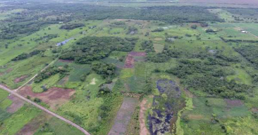 墨西哥發現1千年前最大「馬雅遺址」 無明顯統治者存在痕跡