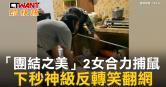 圖說-「團結之美」2女合力捕鼠　下秒神級反轉笑翻網