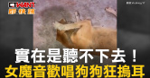 圖說-實在是聽不下去！　女魔音歡唱狗狗狂摀耳