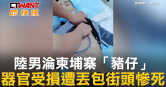 圖說-陸男淪柬埔寨「豬仔」　器官受損遭丟包街頭慘死