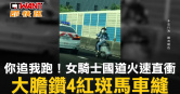 圖說-你追我跑！女騎士國道火速直衝　大膽鑽4紅斑馬車縫