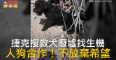 圖說-捷克搜救犬廢墟找生機　人狗合作！不放棄希望