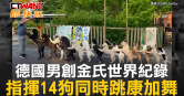 圖說-德國男創金氏世界紀錄　指揮14狗同時跳康加舞