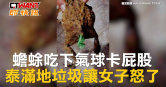圖說-蟾蜍吃下氣球卡屁股　泰滿地垃圾讓女子怒了
