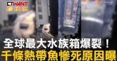 圖說-全球最大水族箱爆裂！　千條熱帶魚慘死原因曝
