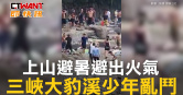 圖說-上山避暑避出火氣　三峽大豹溪少年亂鬥