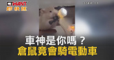 圖說-車神是你嗎？倉鼠竟會騎電動車