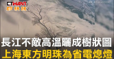 圖說-長江不敵高溫曬成樹狀圖　上海東方明珠為省電熄燈