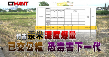 圖說-來不及阻止交公糧！  竹市汞米濃度爆量恐成營養午餐毒害下一代