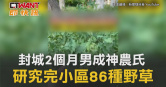 圖說-封城2個月男成神農氏　研究完小區86種野草