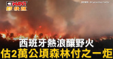 圖說-西班牙熱浪釀野火　估2萬公頃森林付之一炬