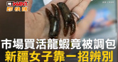 圖說-市場買活龍蝦竟被調包　新疆女子靠一招辨別