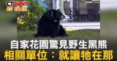 圖說-自家花園驚見野生黑熊　相關單位：就讓牠在那
