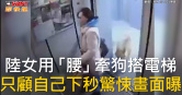 圖說-陸女用「腰」牽狗搭電梯　只顧自己下秒驚悚畫面曝