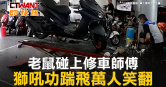 圖說-老鼠碰上修車師傅　獅吼功踹飛萬人笑翻