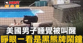 圖說-美國男子睡覺被叫醒　睜眼一看是黑熊牌鬧鐘