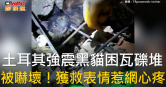 圖說-土耳其強震黑貓困瓦礫堆　被嚇壞！獲救表情惹網心疼