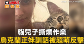 圖說-貓兒子撕爛作業　烏克蘭正妹訓話被超萌反擊