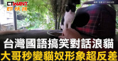 圖說-台灣國語搞笑對話浪貓　大哥秒變貓奴形象超反差