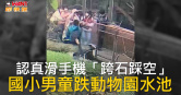 圖說-認真滑手機「跨石踩空」　國小男童跌動物園水池