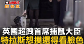 圖說-英國超跩首席捕鼠大臣　特拉斯想摸還得看臉色
