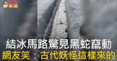 圖說-結冰馬路驚見黑蛇竄動  網友笑：古代妖怪這樣來的