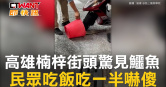 圖說-高雄楠梓街頭驚見鱷魚　民眾吃飯吃一半嚇傻