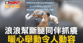 圖說-浪浪幫斷腿同伴抓癢　暖心舉動令人動容