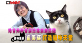 圖說-她曾天天含淚撿拾浪浪遺體　慈悲里長打造出貓咪天堂
