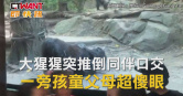 圖說-大猩猩突推倒同伴口交　一旁孩童父母超傻眼