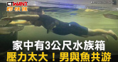 圖說-家中有3公尺水族箱　壓力太大！男與魚共游