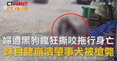 圖說-71歲婦突遭黑狗「瘋狂撕咬拖行」身亡！妹目睹崩潰　肇事犬被槍斃