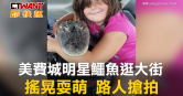 圖說-美費城明星鱷魚逛大街　路人搶拍情感支持動物