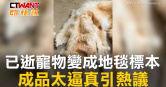 圖說-已逝寵物變成地毯標本　成品太逼真引熱議