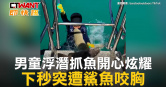 圖說-男童浮潛抓魚開心炫耀　下秒突遭鯊魚咬胸