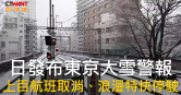 圖說-日發布東京大雪警報  上百航班取消、浪漫特快停駛
