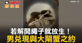 圖說-若解開繩子就放生！　男兌現與大閘蟹之約
