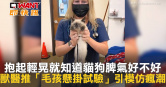圖說-抱起輕晃就知道貓狗脾氣好不好 獸醫推「毛孩懸掛試驗」引模仿瘋潮