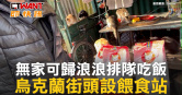 圖說-無家可歸浪浪排隊吃飯　烏克蘭街頭設餵食站
