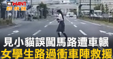 圖說-見小貓誤闖馬路遭車輾　女學生路過衝車陣救援