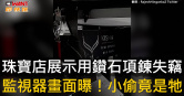 圖說-珠寶店展示用鑽石項鍊失竊　監視器畫面曝！小偷竟是牠