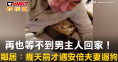 圖說-再也等不到男主人回家！　鄰居：幾天前才遇安倍夫妻遛狗