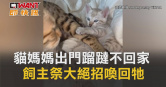 圖說-貓媽媽出門蹓躂不回家　飼主祭大絕招喚回牠