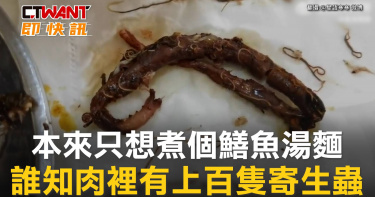 寄生蟲 相關新聞
