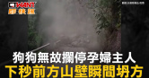 圖說-狗狗無故攔停孕婦主人　下秒前方山壁瞬間坍方