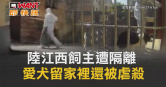 圖說-陸江西飼主遭隔離　愛犬留家裡還被虐殺