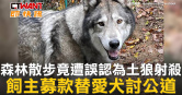圖說-森林散步竟遭誤認為土狼射殺　飼主募款替愛犬討公道