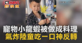 圖說-寵物小龍蝦被做成料理　氣炸陸童吃一口神反轉