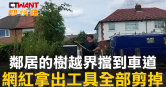 圖說-鄰居的樹越界擋到車道  網紅拿出工具全部剪掉